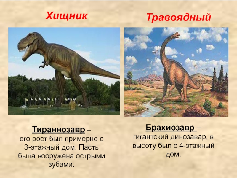 Нептичьи динозавры виды. Динозавры травоядные и хищники названия. Диплодок Брахиозавр Спинозавр. Тираннозавр и Диплодок. Травоядные динозавры Брахиозавр.