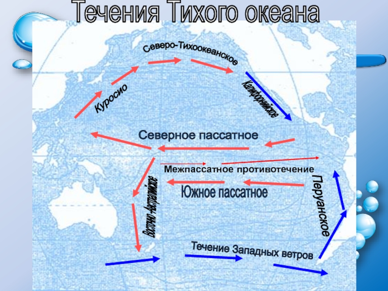 Схема поверхностных течений тихого океана