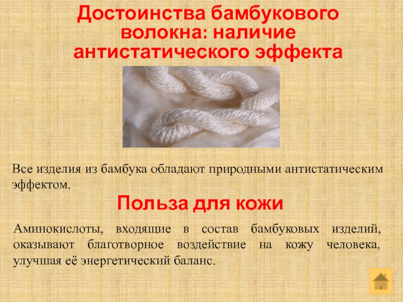 Бамбуковое волокно что это. Переработка бамбука в волокно. Классификация бамбукового волокна. Бамбуковое волокно область применения. Материал бамбук преимущества.