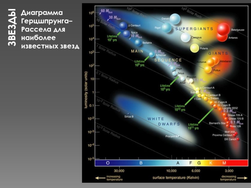 Что можно определить по диаграмме герцшпрунга рассела