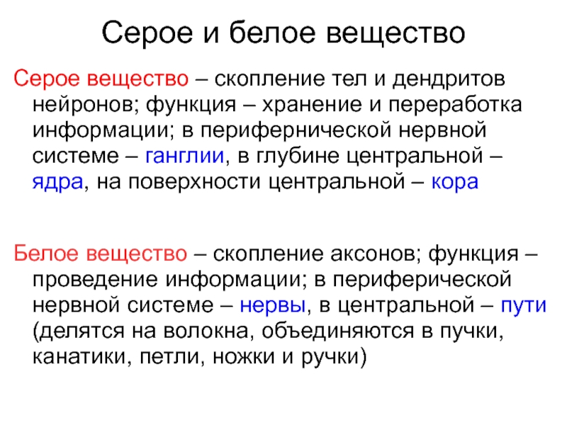 Общая схема локализации белого и серого вещества головного мозга