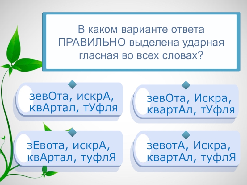 В каком слове правильно выделена