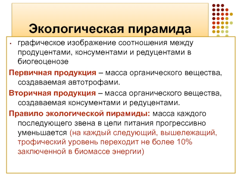 Как называется графическое изображение соотношения между продуцентами и консументами всех уровней