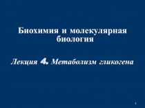 1
Биохимия и молекулярная биология
Лекция 4. Метаболизм гликогена