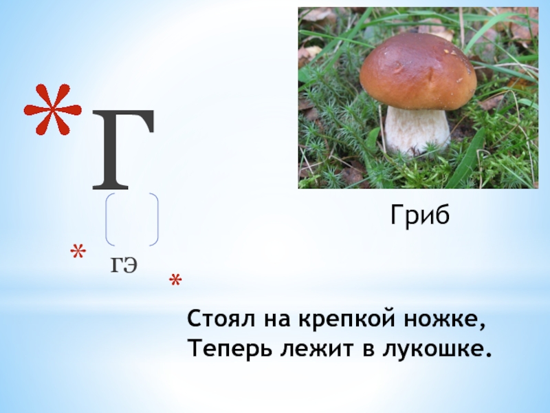 Слово гриб. Стоял на крепкой ножке теперь лежит в лукошке. Крепкий ножка стоять на лежать лукошко в теперь загадка. Загадка стоял на крепкой ножке теперь лежит.