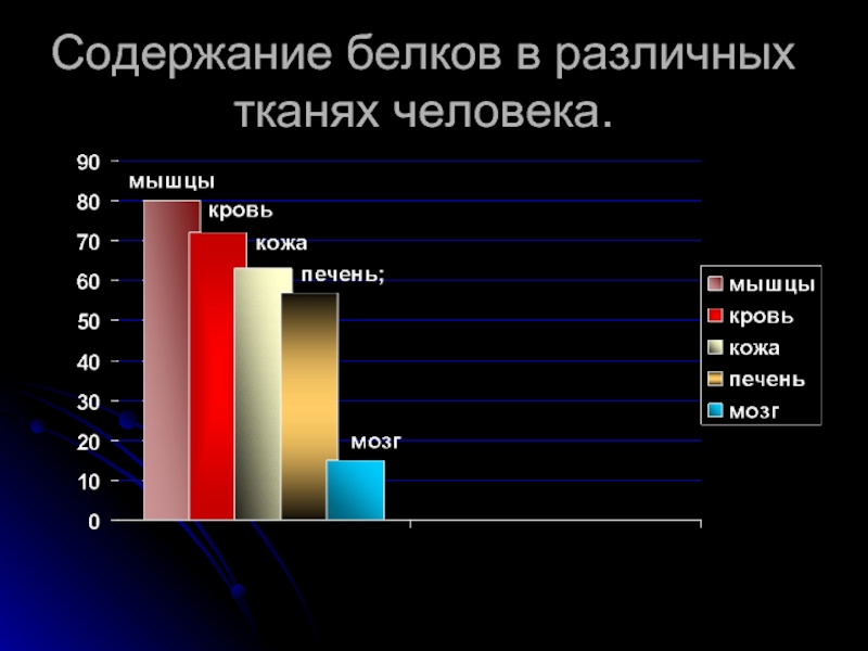 Содержание жизни человека. Содержание белков в различных тканях человека. Содержание белков в различных тканях человека неодинаково. Содержание белков в органах и тканях человека. Содержание белка в органах и тканях человека.