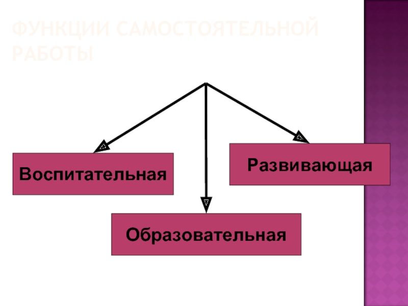 Функции самостоятельной работы. Функции самостоятельной работы студентов. Развивающая функция самостоятельной работы. Функции самостоятельной работы учащегося. Воспитательная функция самостоятельной работы.