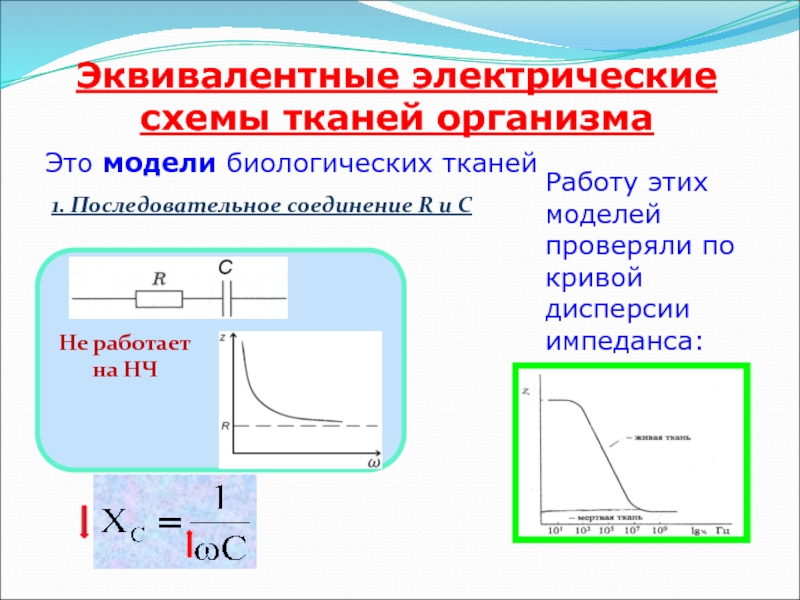 Эквивалентная электрическая схема тканей организма включает сопротивления