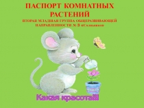 Паспорт комнатных растений. Комнатные растения в детском саду