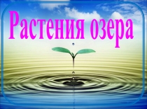 Растения озера