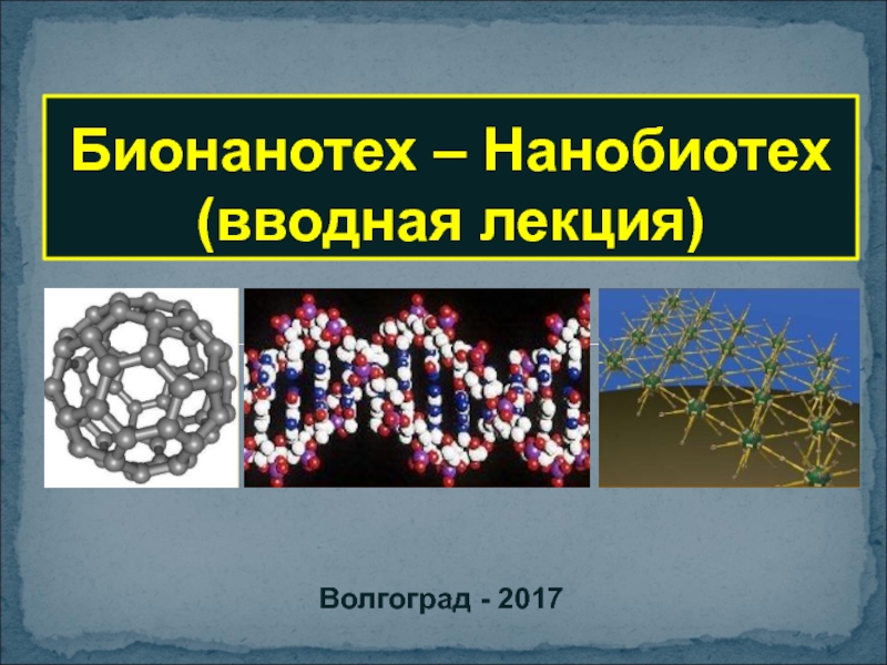 Презентация Бионанотех – Нанобиотех (вводная лекция)