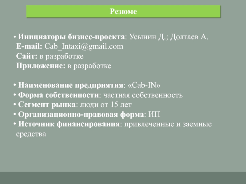 Резюме инициатора проекта шаблон учебного бизнес плана