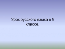 Слитное и раздельное написание НЕ с глаголами 5 класс