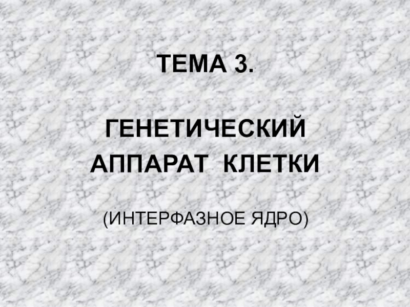 ТЕМА 3