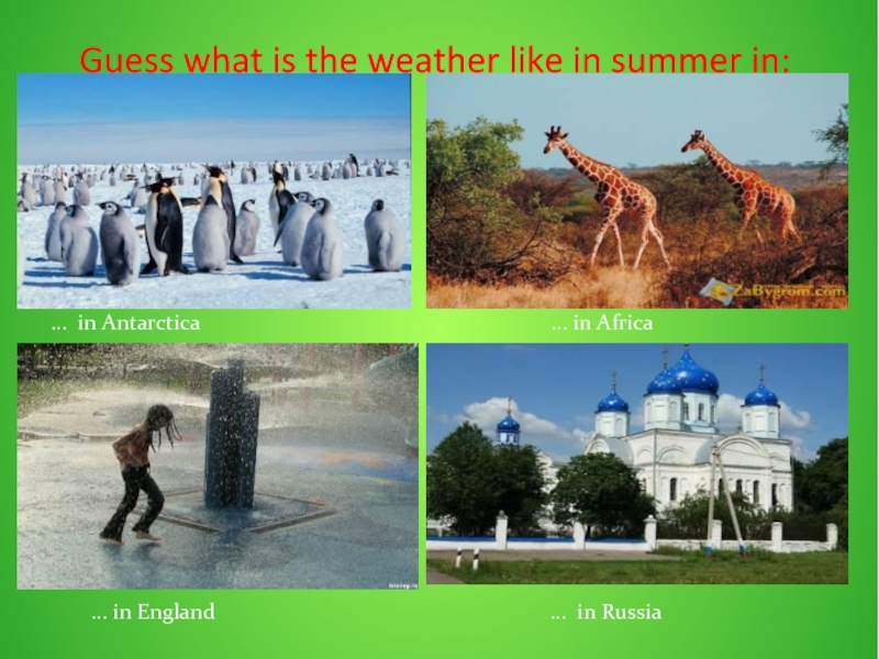 What is the weather like in summer. Guess what the weather is like in Summer. Guess what the weather is like in Summer картинки биболетова 4 класс.
