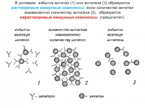занятие антитела