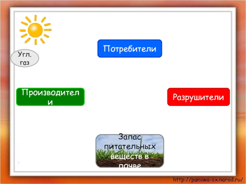 Окружающий мир великий круговорот жизни