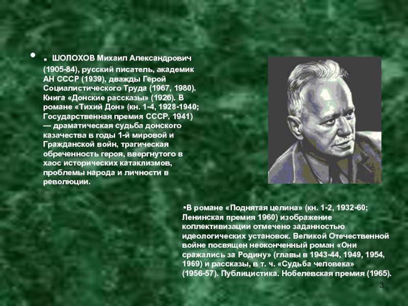 М а шолохов создатель эпической картины народной жизни в донских рассказах