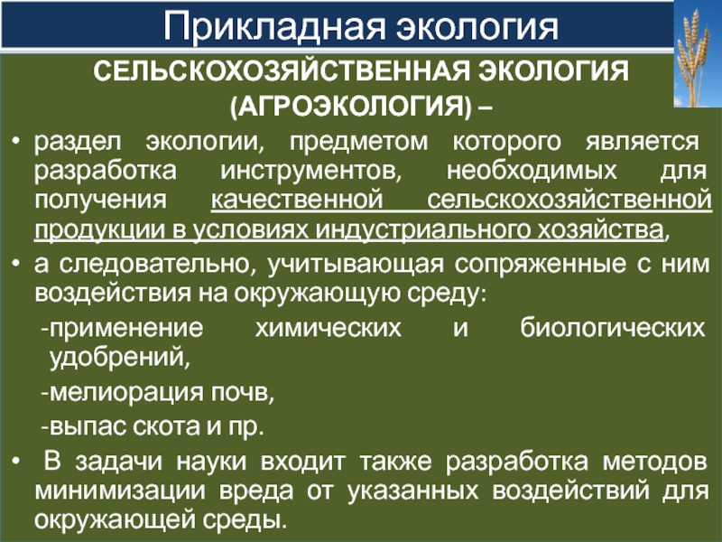 Сущность прикладной экологии презентация