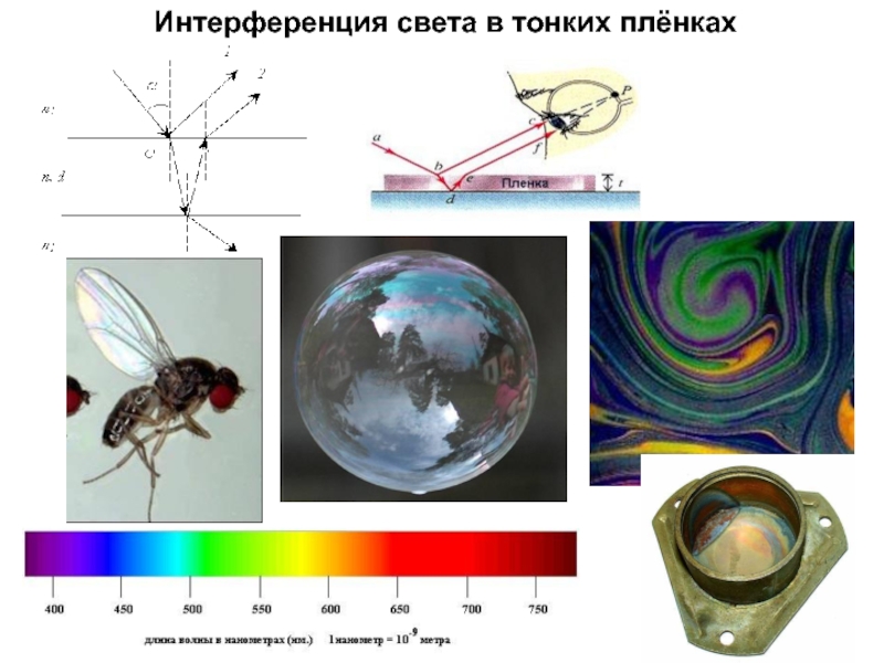 Примеры применения интерференции. Интерференция света в тонких пленках. Интерференция в тонких пленках. Интерференция световых волн. Интерференция в пленках.