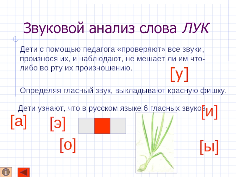 Звуковой анализ. Как делается анализ слов 1 класс. Звуковой анализ слова лук. Звуковой анализ в первом классе. Слого-звуковой анализ слова.