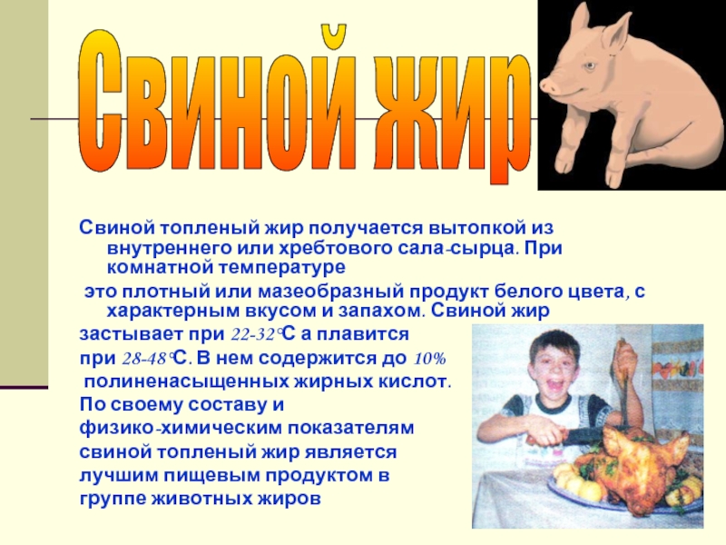 Свиной жир вред. Жир свиной топленый.