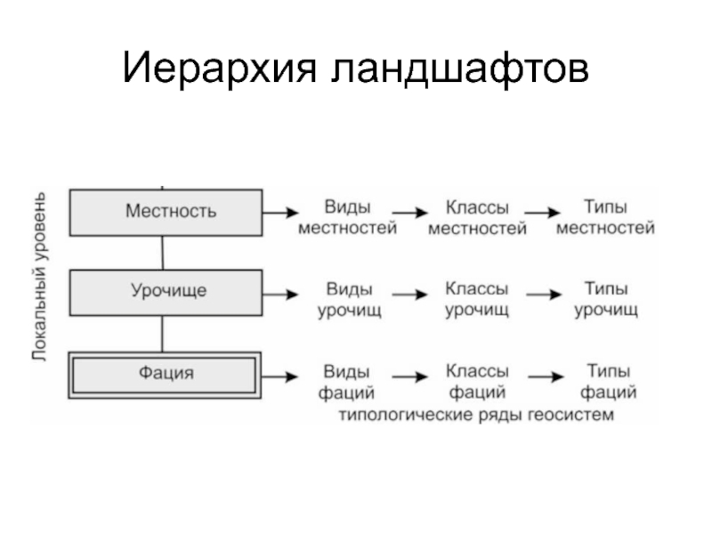 Классификация географического ландшафта. Схема иерархии геосистем. Классификация ландшафтов схема. Схема иерархии геосистем по Исаченко. Иерархия ландшафтных геосистем.