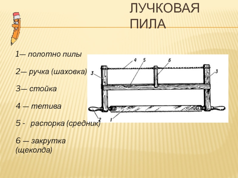 Лучковых пил. Лучковая пила. Устройство технология 5 класс. Устройство лучковой пилы. Конструкции лучковой пилы. Тетива лучковой пилы.