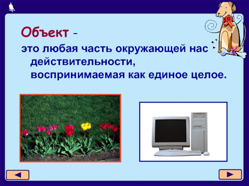 Объект целый. Объект. Объект это в информатике. Объекты для презентации. Объекты и их имена.