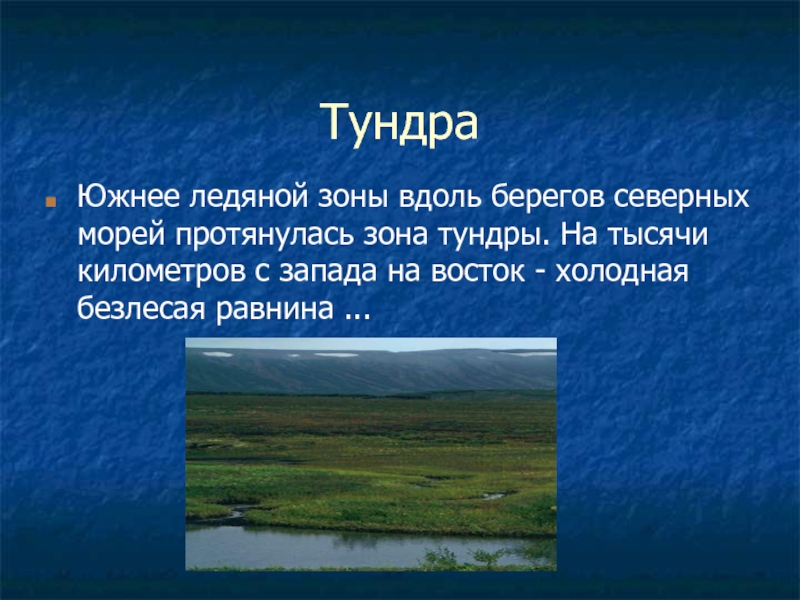 Природная зона протягивается вдоль северного побережья евразии. Что южнее тундры. План тундры. Зона тундры протянулась. Южнее зоны тундры.