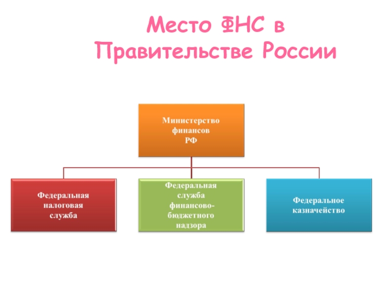 Федеральная налоговая служба находится