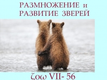 РАЗМНОЖЕНИЕ и РАЗВИТИЕ ЗВЕРЕЙ