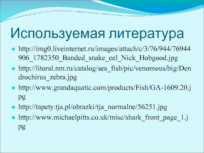 Используемая литератураhttp://img0.liveinternet.ru/images/attach/c/3/76/944/76944906_1782350_Banded_snake_eel_Nick_Hobgood.jpghttp://litoral.nm.ru/catalog/sea_fish/pic/venomous/big/Dendrochirus_zebra.jpghttp://www.grandaquatic.com/products/Fish/GA-1609.20.jpghttp://tapety.tja.pl/obrazki/tja_normalne/56251.jpghttp://www.michaelpitts.co.uk/misc/shark_front_page_1.jpg