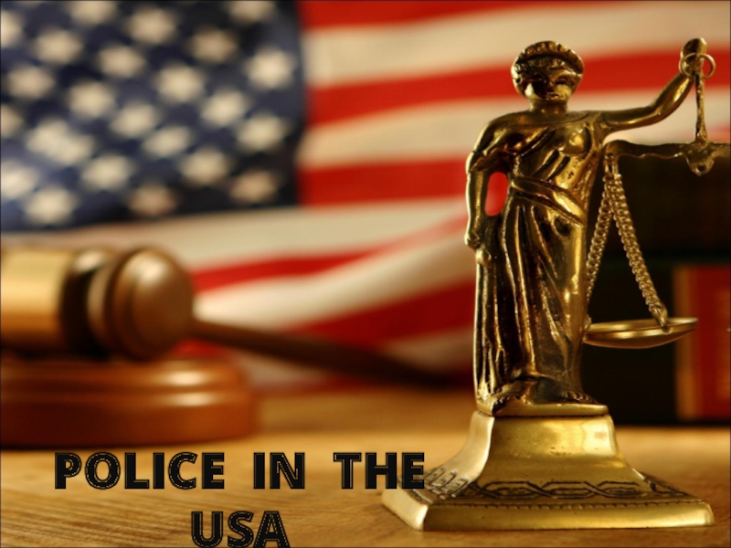 Police in the USA