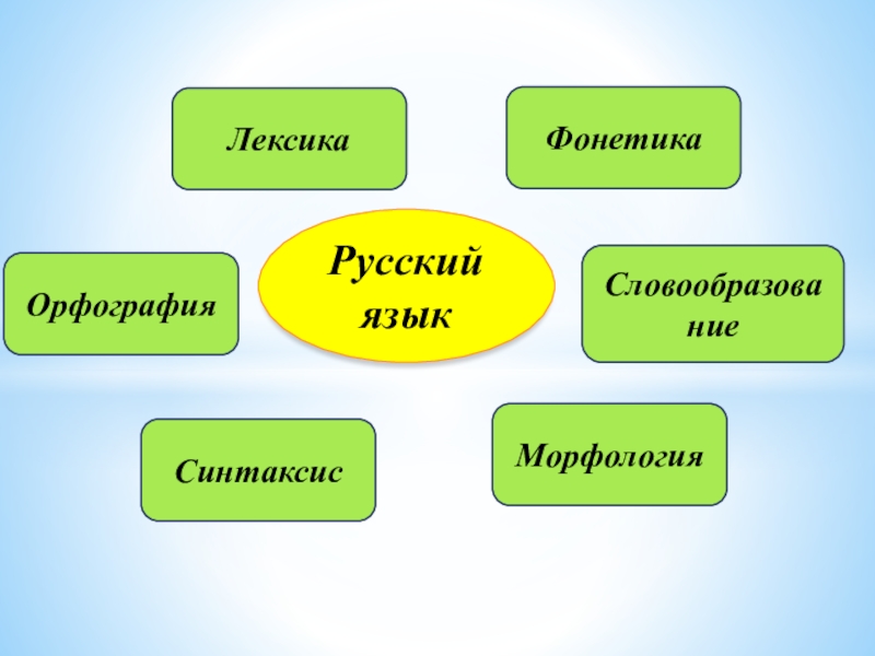 Фонетика морфология синтаксис лексикология