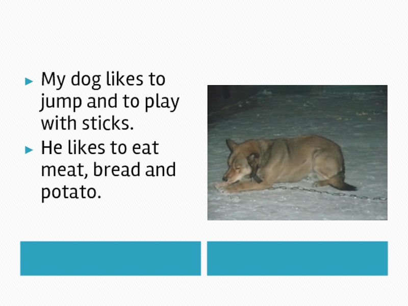 Доклад: Dog Eat Dog