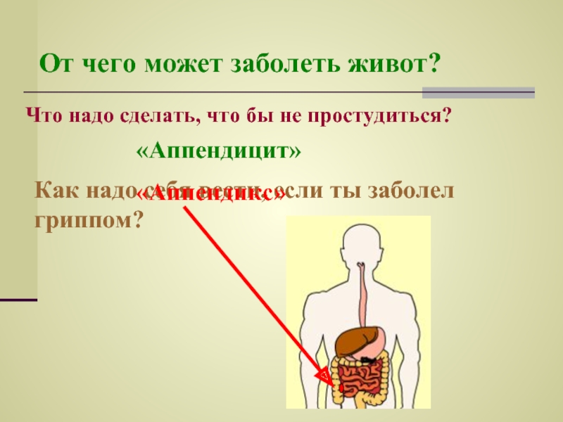 Как можно заболеть. Что надо сделать чтобы заболел живот. Что надо заболеть. Живот болит что надо сделать. Как сделать так чтоб заболел живот в школе.