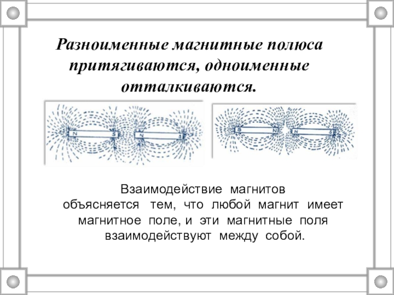 Одноименными или разноименными полюсами образован магнитный спектр на рисунке