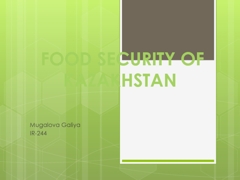 Food security of Kazakhstan