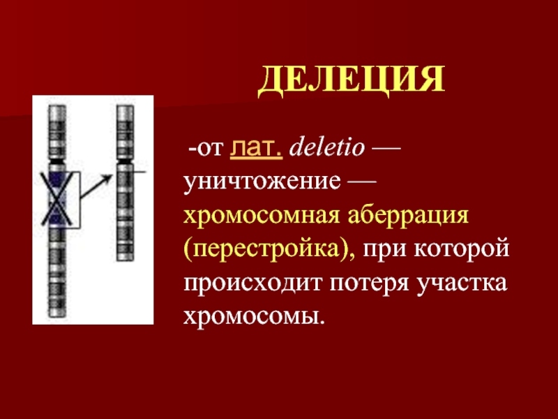 Совокупность хромосом называется. Делеция. Делеция примеры. Хромосомы строение и функции. Описание делеции.