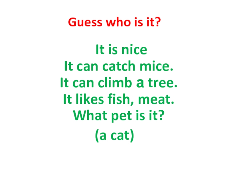 Guess who is it?  It is nice  It can catch mice.  It can climb а tree. 