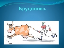 Бруцеллез