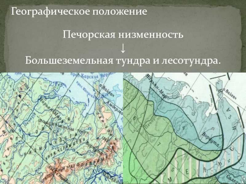 Тундра географическое положение. Печерская низменности на карте. Пичерская низменность. Печорская низменность. Печорская низменность на карте.