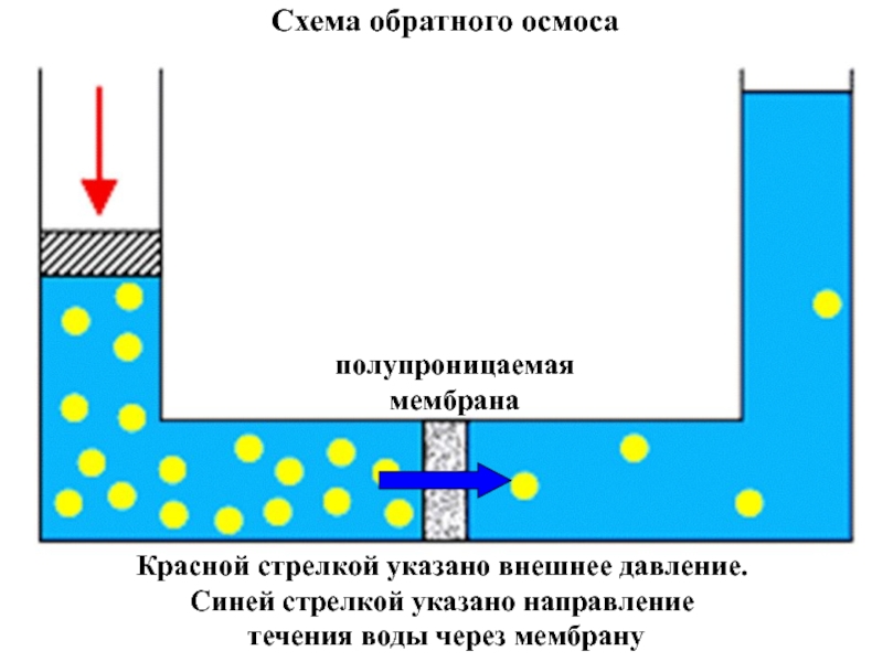 Схема прямого осмоса