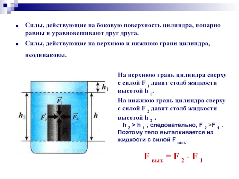 Грани цилиндра