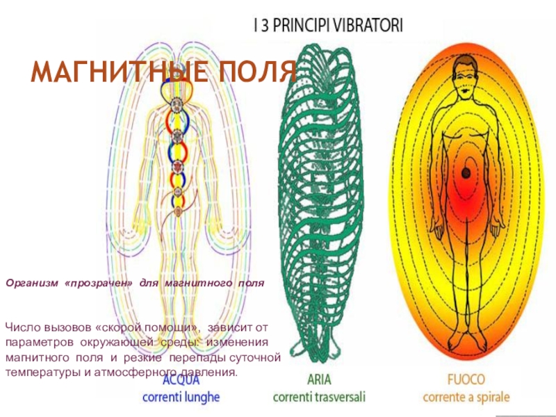 Поля организма