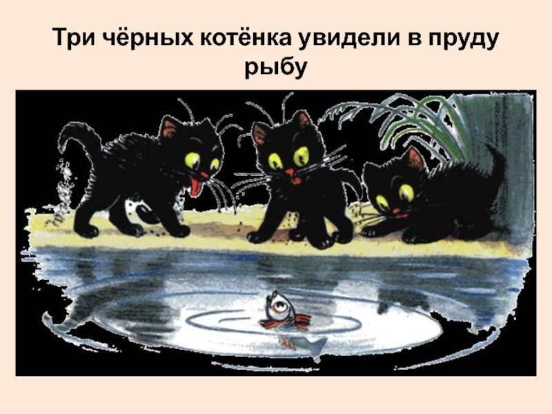 Три чёрных котёнка увидели в пруду рыбу