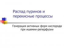 1 Распад пуринов и перекисные процессы.ppt
