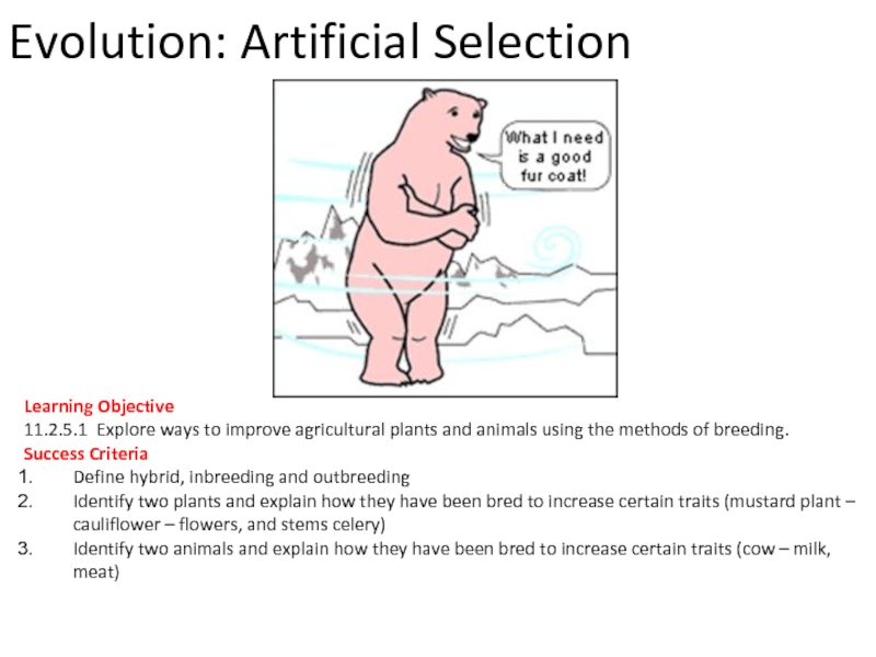 Evolution: Artificial Selection