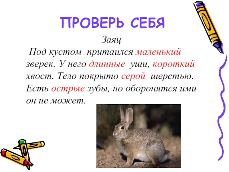 Слово заяц схема 1 класс